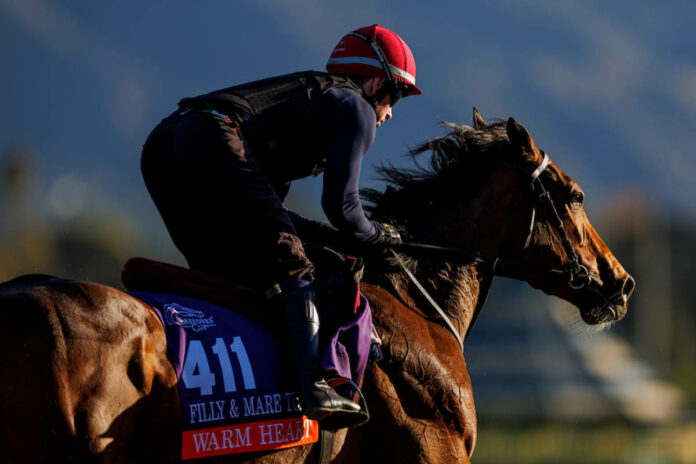 Warm Heart Foto: Alex Evers/Eclipse Sportswire/Breeders Cup