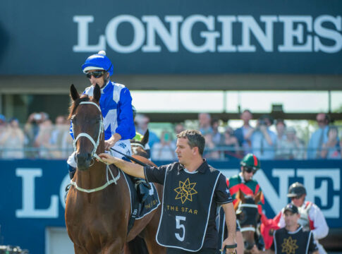 "Absoluter Nervenkitzel" - Winx-Sohn geht zur Auktion Winx Foto: Sharon Lee Chapman