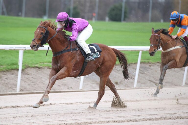 Energy Dragon ist der King der Wintersaison – Dritter Sieg beim dritten Start