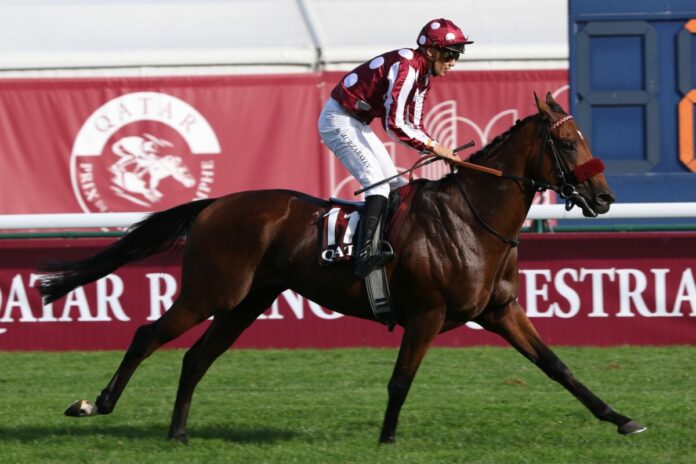 Mr Hollywood Mr Hollywood