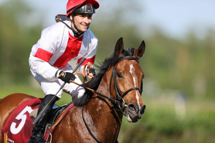 Loft (Archiv) Loft (Archiv)