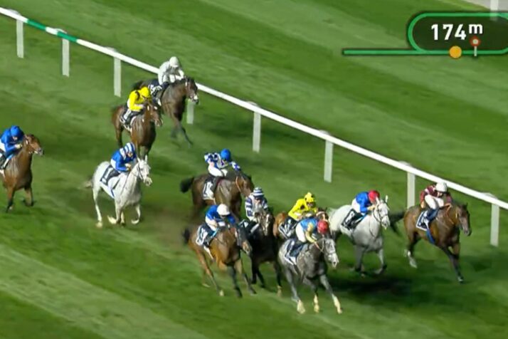 Sean krass behindert bei drittem Platz in Singspiel Stakes