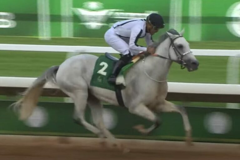 17 aus 17! Asfan Al Khalediah ist der Superstar