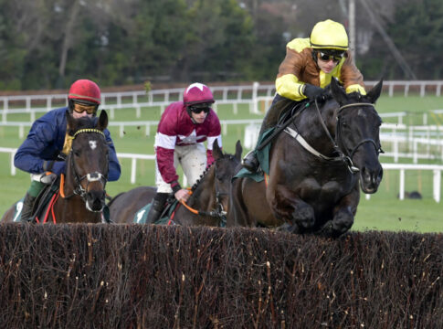 Gold Cup-Hattrick perfekt! Galopin Des Champs erneut nicht zu schlagen Galopin Des Champs (Archiv) Foto: Sorge