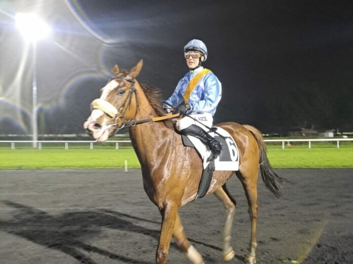 1199d318-15e7-4075-b9b6-be73df7f064a