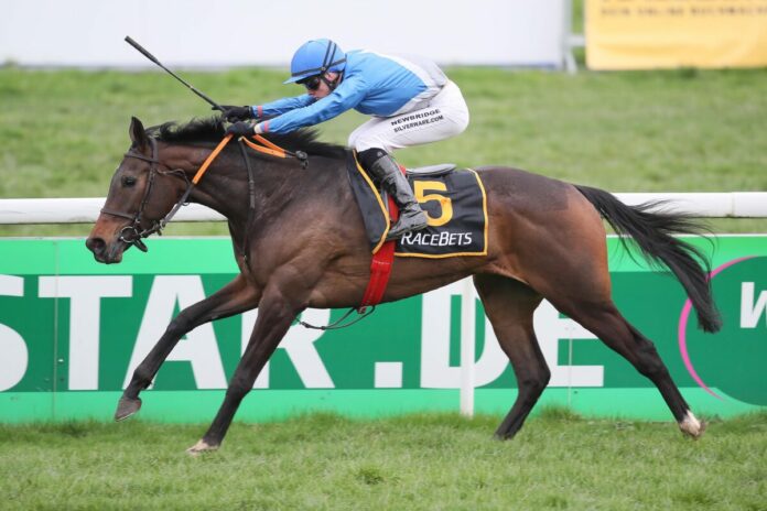 Blue Zone siegt unter Sean Byrne