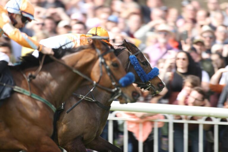 Keine Bilder aus Hoppegarten – Blue Sky-Einlauf im ersten Rennen