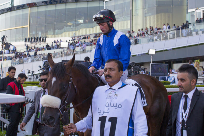 Dane O'Neill auf Haatheq im Jahr 2015 Foto: turfstock.com