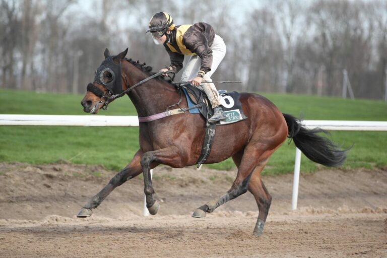 Bearcardi dreht die Form mit Aladar Ari und holt sich ersten Solo-Sieg des Winters