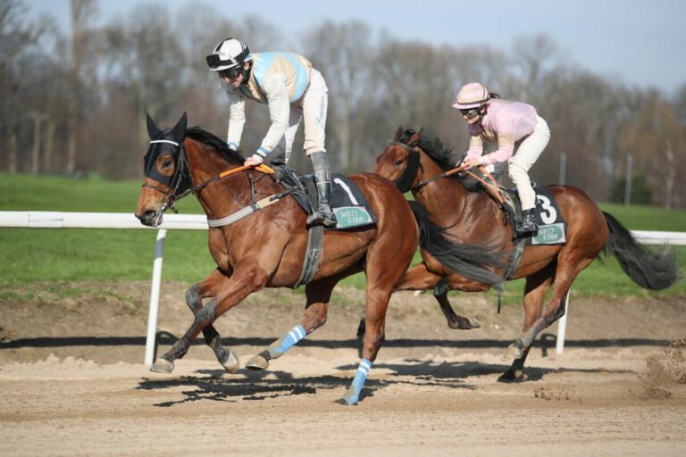Wakey Wakey ringt den Konkurrenten nieder – Doch noch Scardino