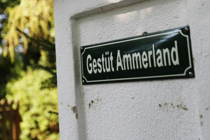 Gestüt Ammerland