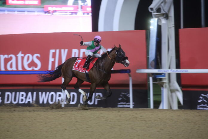 Laurel River Laurel River