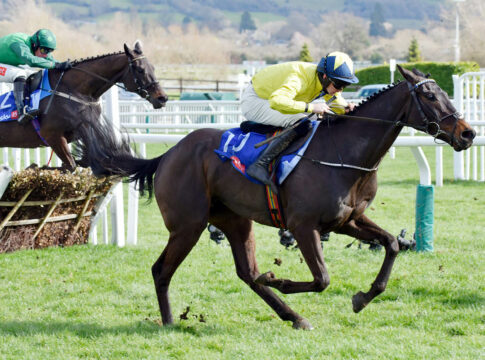 Punchestown: Marine Nationale gewinnt Champion Chase Marine Nationale (Archiv)