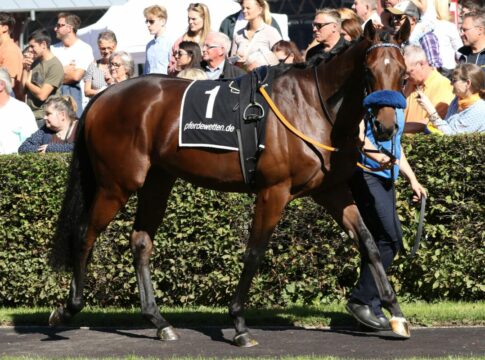 Es ist fix: Palladium startet am Donnerstag Palladium