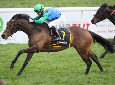 Fünf deutsche Pferde am Sonntag in St. Moritz Scipio (Archiv)