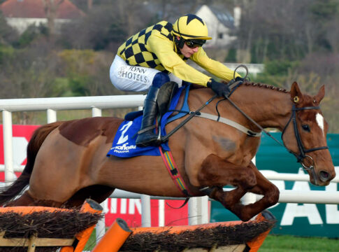 Irish Champion Hurdle-Hattrick für State Man bei Lossiemouth-Pech State Man (Archiv) Foto: Sorge