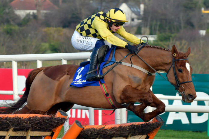 State Man (Archiv) Foto: Sorge State Man (Archiv) Foto: Sorge