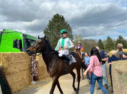 Nach 97 Starts: Deutschlands ältestes Rennpferd geht in Rente All Talk N No Do