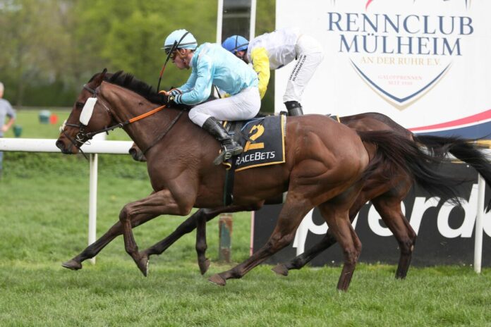 Brilliant Blue gewinnt knapp gegen Night Star