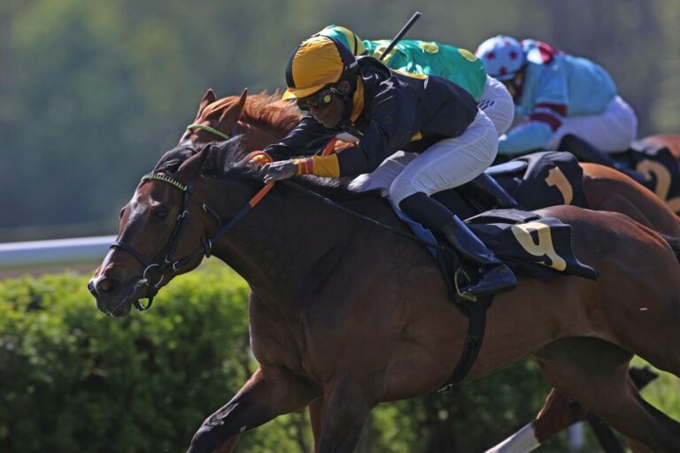 Hope and Believe siegt unter Eduardo Pedroza