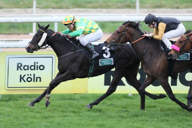 Sascha Smrczeks Words of Peace eröffnet die Saison in Weidenpesch