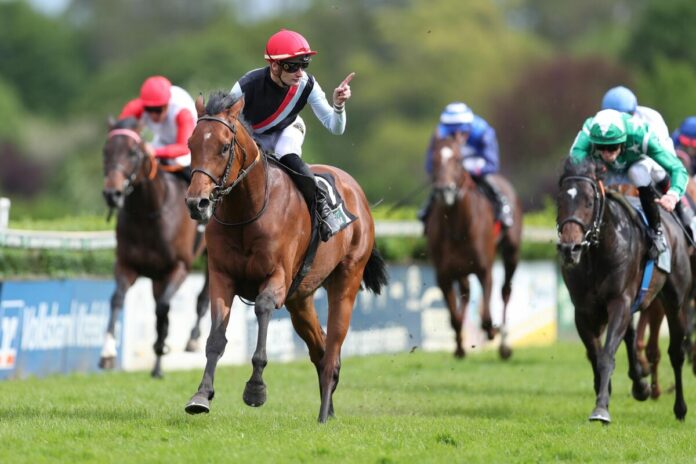 Maigret siegt unter Lukas Delozier im Dr. Busch-Memorial - Gr.3