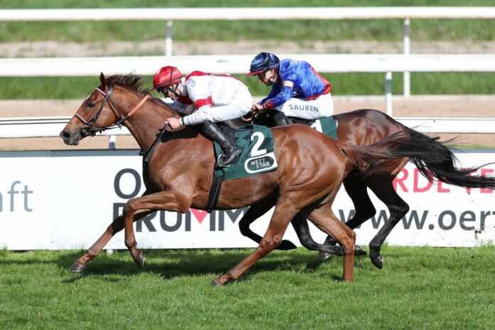 Lordano siegt unter Rene Piechulek im Carl Jaspers Preis Lordano siegt unter Rene Piechulek im Carl Jaspers Preis