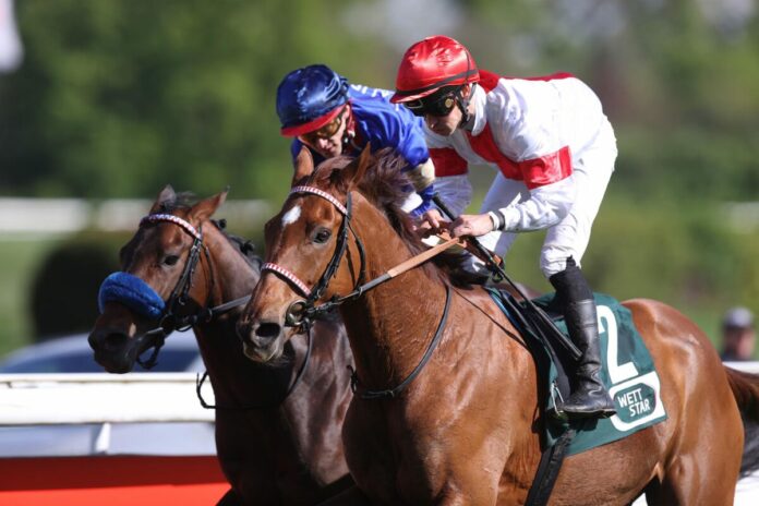 Lordano siegt unter Rene Piechulek im Carl Jaspers Preis - Gr.2 Lordano siegt unter Rene Piechulek im Carl Jaspers Preis