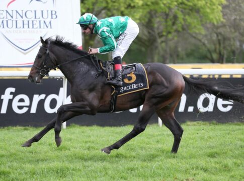 Vier Deutsche im Grand Prix Region Grand Est? New Emerald siegt unter Andrasch Starke