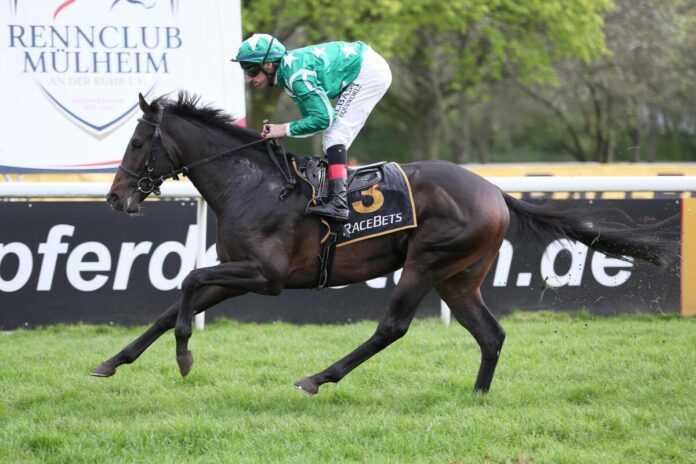 New Emerald New Emerald siegt unter Andrasch Starke