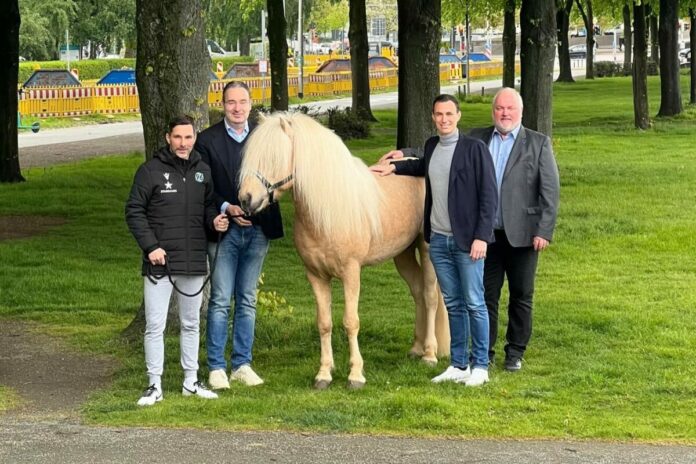Pressekonferenz Hannover
