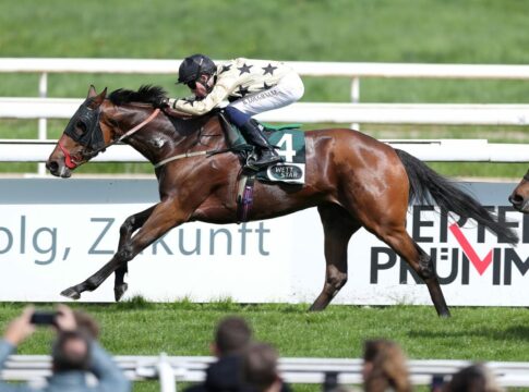 28 Nennungen für Schwarzgold-Rennen – Sechs mehr als 2024 Queues Likely siegt unter Billy Loughnane im Karin Baronin von Ullmann - Schwarzgold-Rennen