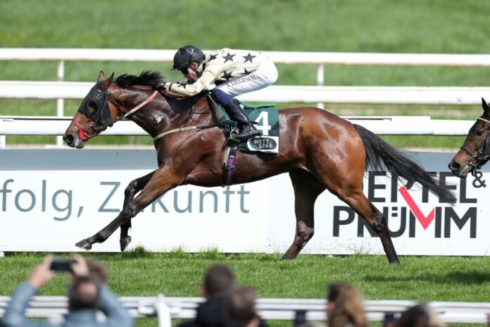 Queues Likely siegt unter Billy Loughnane im Karin Baronin von Ullmann - Schwarzgold-Rennen Queues Likely siegt unter Billy Loughnane im Karin Baronin von Ullmann - Schwarzgold-Rennen