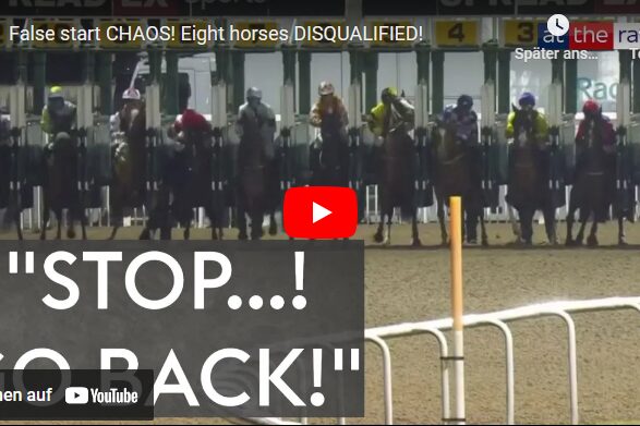 Chaos in Wolverhampton! Den Kommentar müssen Sie hören!