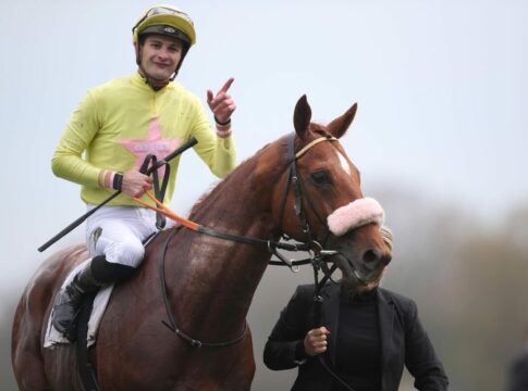 Ex-Deutsche See Hector und Sean in den Dubai Millennium Stakes See Hector (Archiv)