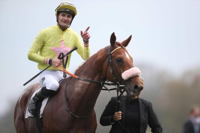 See Hector (Archiv) See Hector (Archiv)