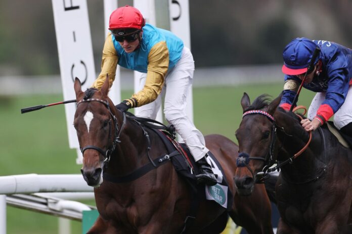 Anspruch (li.) bei seinem Maidensieg Anspruch (li.) bei seinem Maidensieg