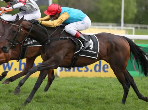 Vier deutsche Stuten im Premio Terme di Merano Weltbeste