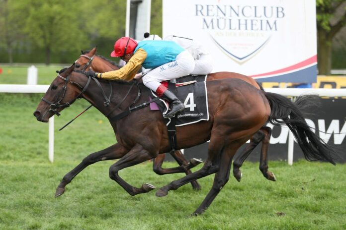 Weltbeste fängt Wilko genau im Ziel ab Weltbeste fängt Wilko genau im Ziel ab