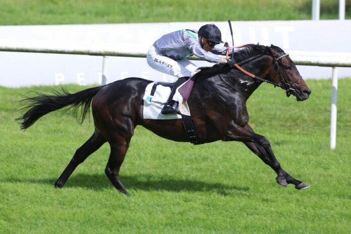 Arcandi siegt unter Bauyrzhan Murzabayev in der 46. Kronimus Badener Meile Arcandi siegt unter Bauyrzhan Murzabayev in der 46. Kronimus Badener Meile