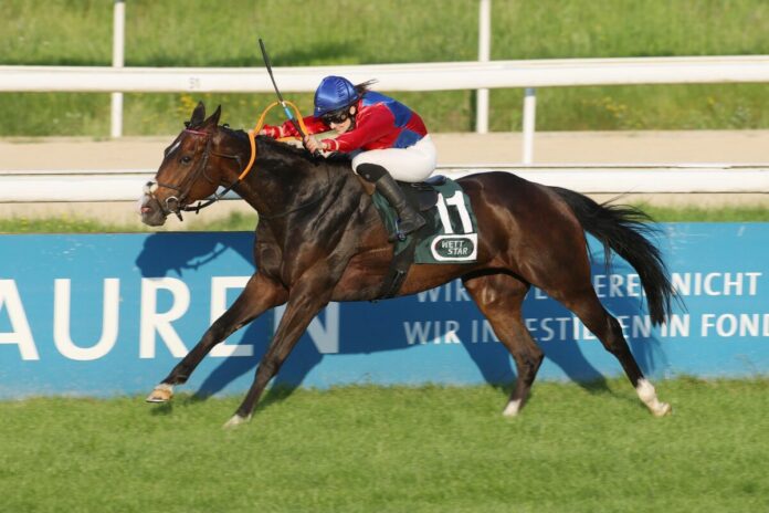 Attacco siegt unter Anna van den Troost