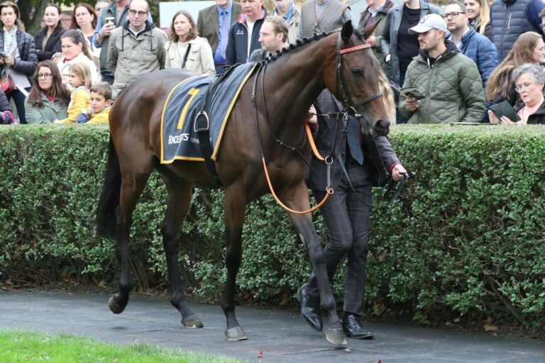 Miesau füllt den rennfreien Tag – Fünf Galopp- und zwei Trabrennen