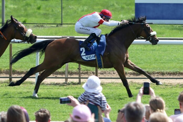 Danelo in den Farben des Gestüts Ittlingen Danelo in den Farben des Gestüts Ittlingen