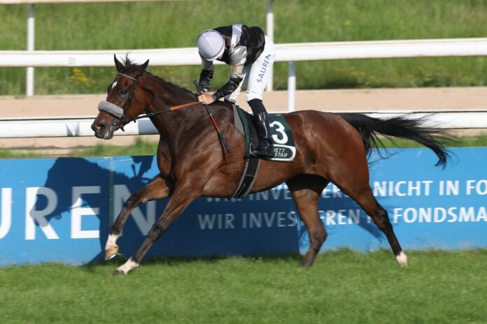 Daydream Express siegt unter Thore Hammer-Hansen