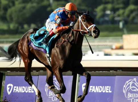 Hochkarätiges Feld für die Whitney Stakes Fierceness Foto: Eclipse Sportswire