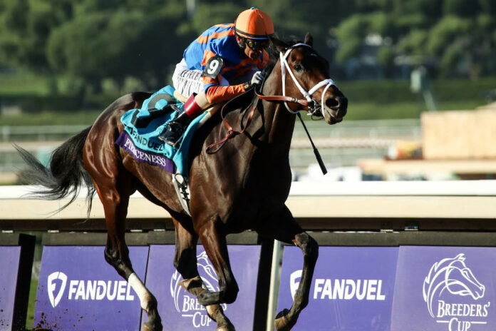 Fierceness Foto: Eclipse Sportswire Fierceness Foto: Eclipse Sportswire