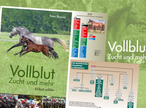 Standardwerk „VOLLBLUT – Zucht und mehr“ - 4. Auflage fast weg GOL_Vollblut_Zucht und mehr_1200 px