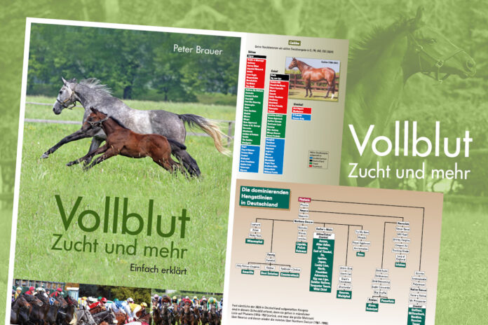 GOL_Vollblut_Zucht und mehr_1200 px