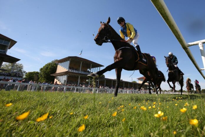 Galopp in Baden-Baden