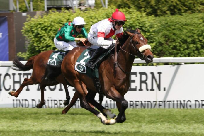 Ladoro siegt unter Michal Abik Ladoro siegt unter Michal Abik